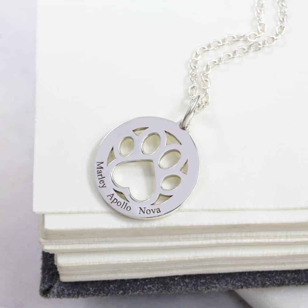 Paw Print Coin Necklace by silvery jewellery in south africa